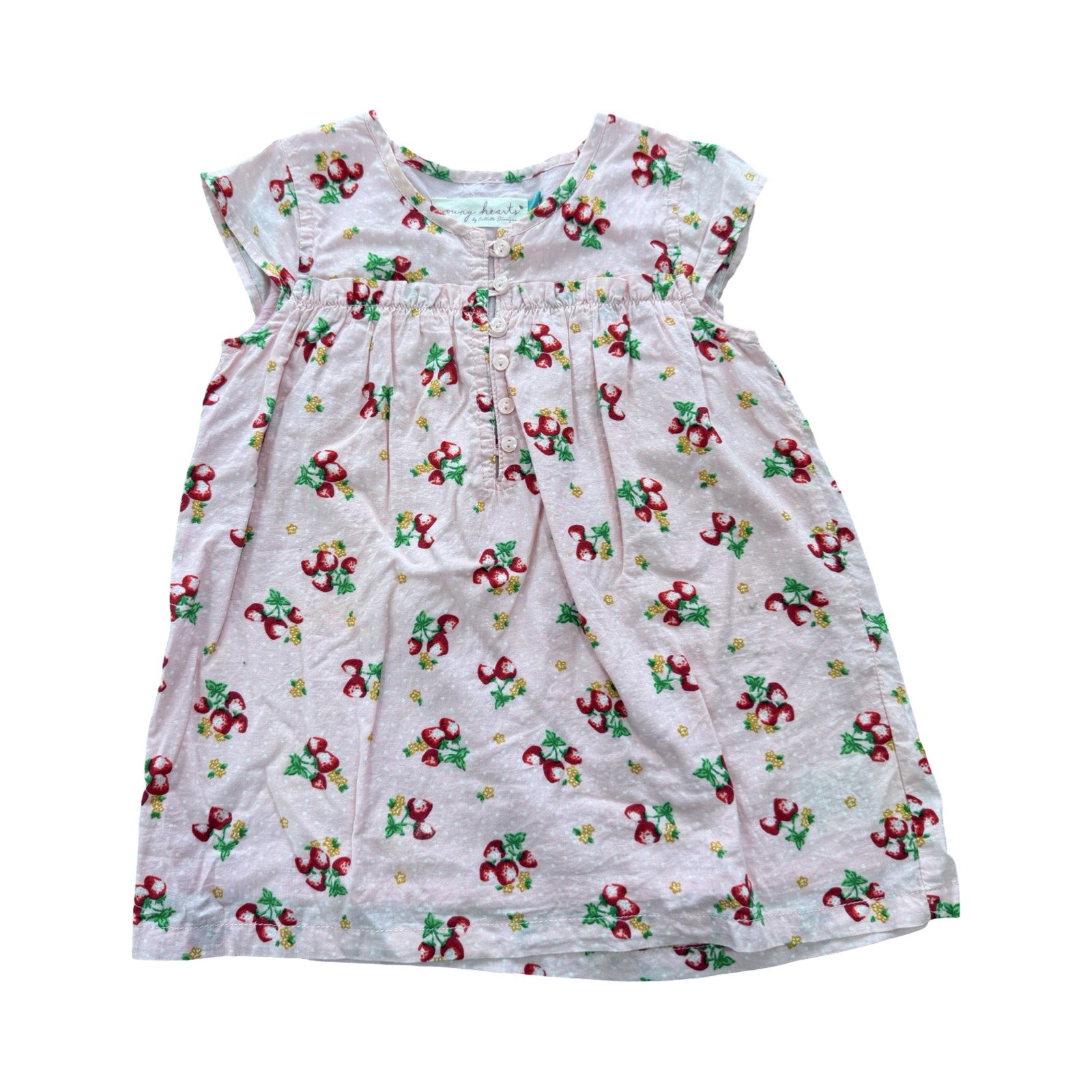 2-3Y Pink Floral & Strawberry Dress - Young Hearts