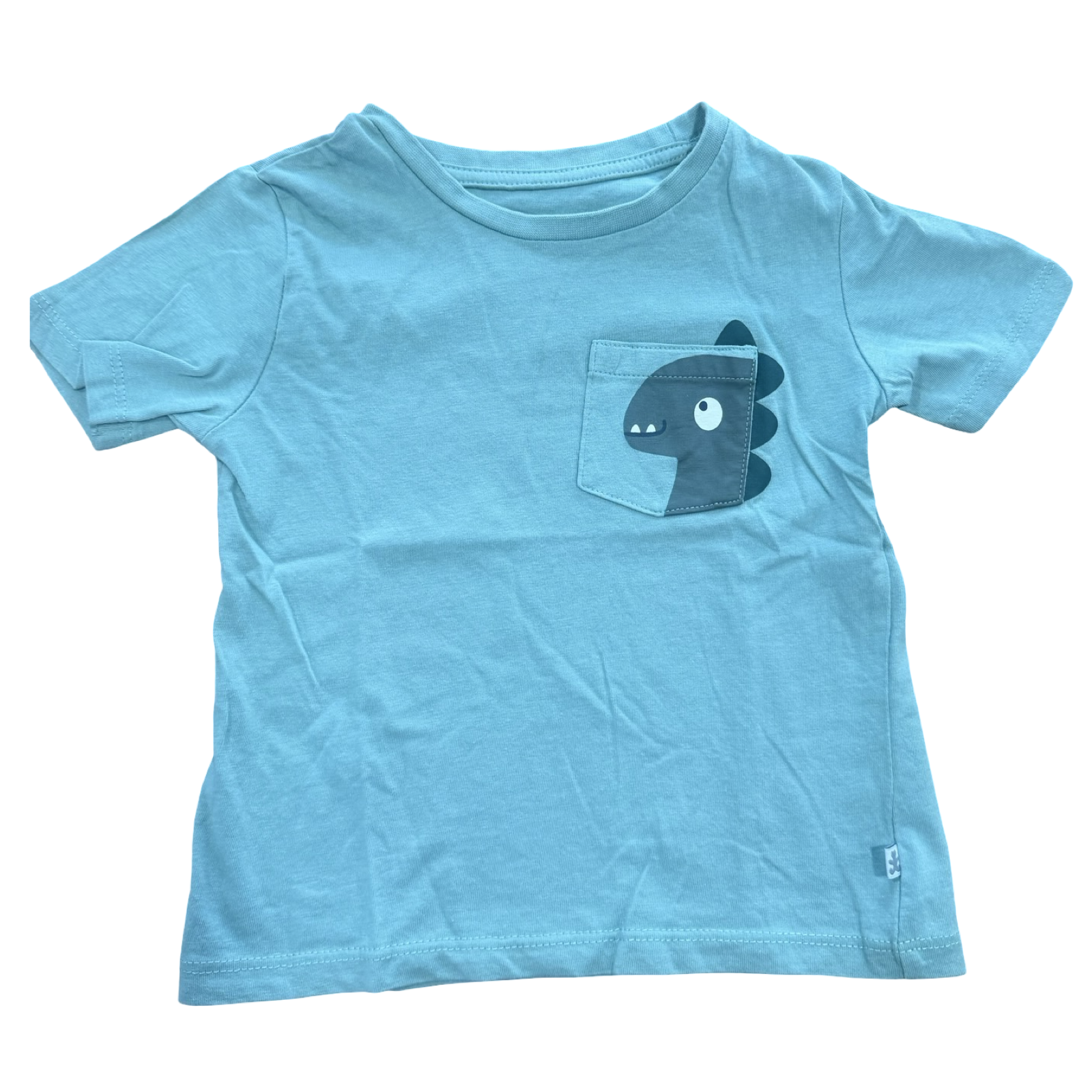18-24M Green Dinosaur T-Shirt with Pocket - Woolworths