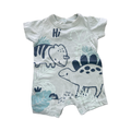 Newborn Green Dinosaur Romper - Woolworths