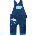 3-6M Blue Elephant Dungaree - Real Baby