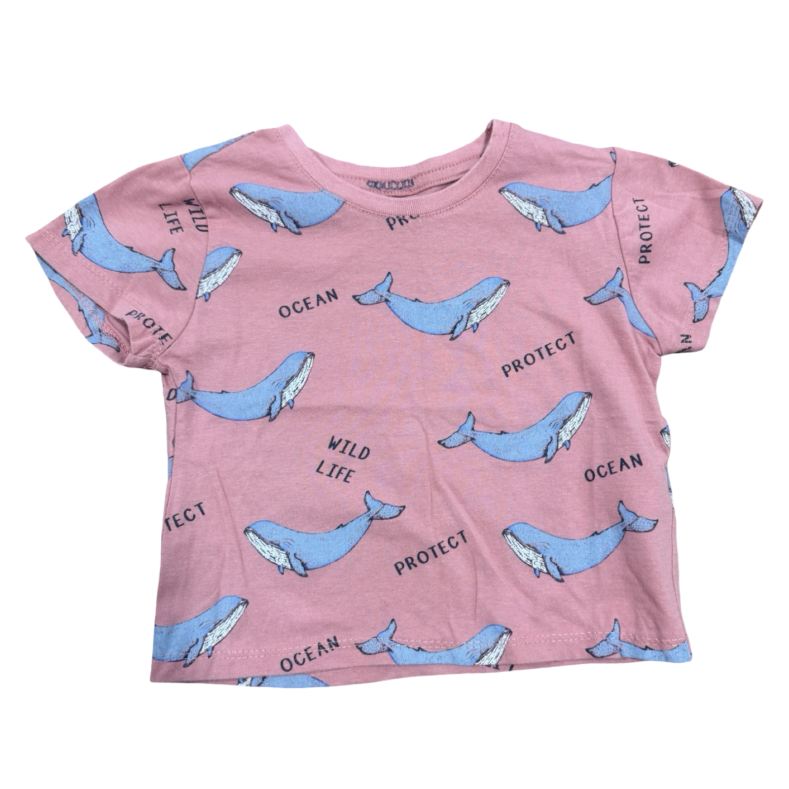 1-2Y Whale T-Shirt - Real Kids
