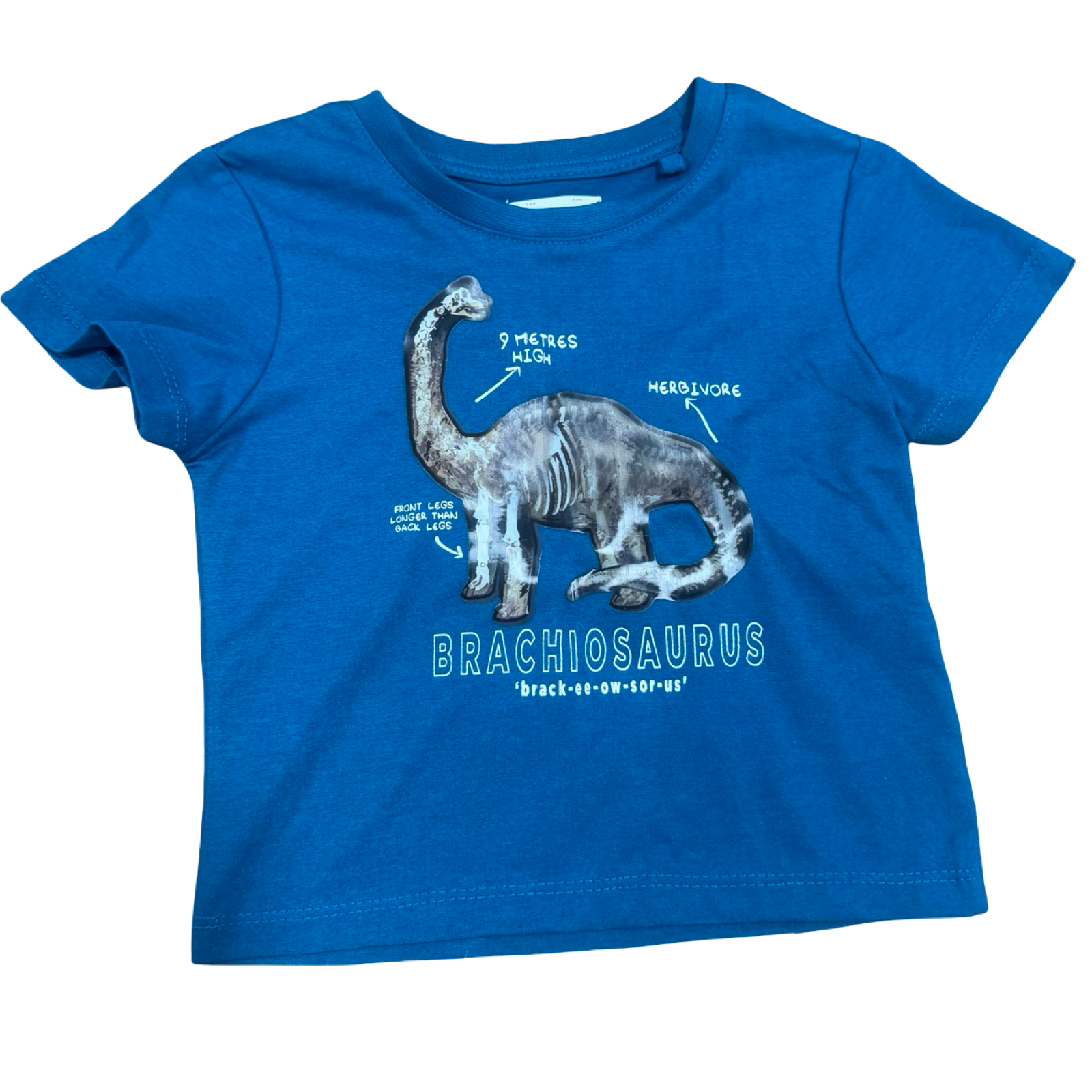 1-2Y Blue 3D Dinosaur T-Shirt - Real Kids