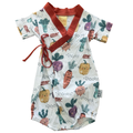 3-6M Veggie Wrap Style Romper - Hoolies