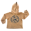 18-24M Rust Dinosaur Hoodie - H & M