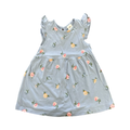 4-6M Blue Rose Cotton Summer Dress - H & M