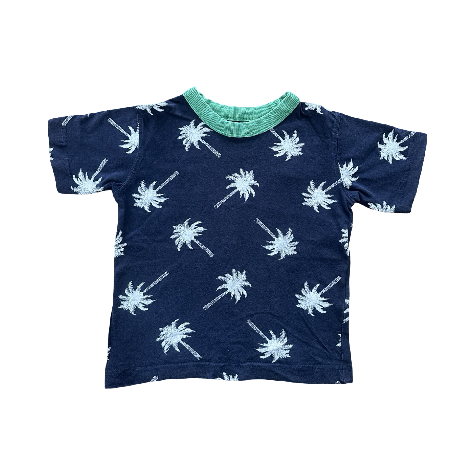 3Y Navy & Green Palm Tree T-Shirt - Cotton On
