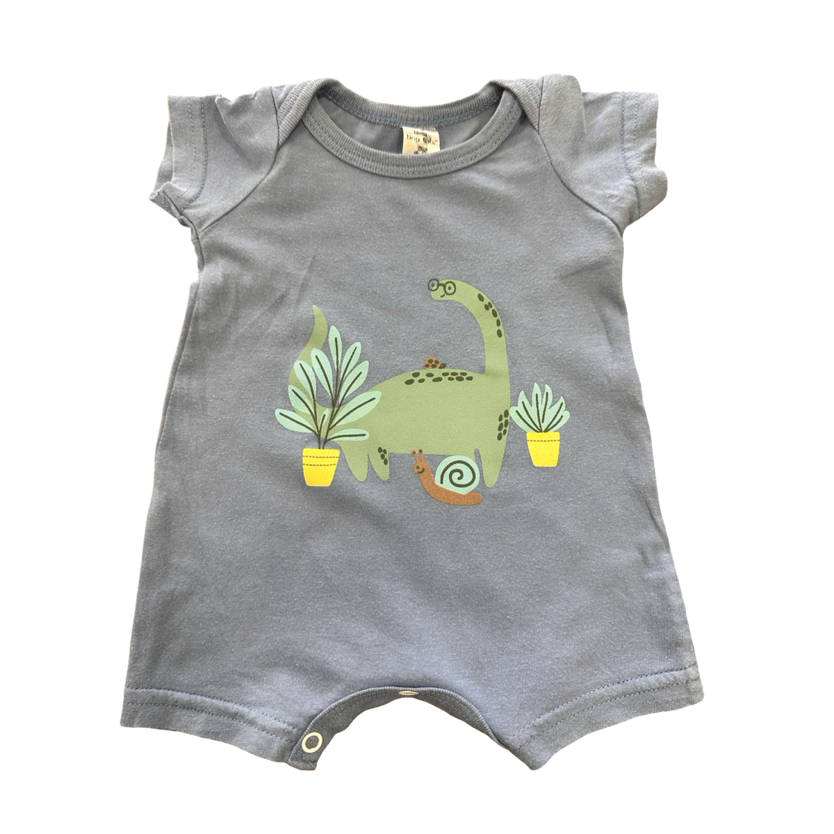 Newborn Blue Dinosaur Baby Romper - Tiny Tots