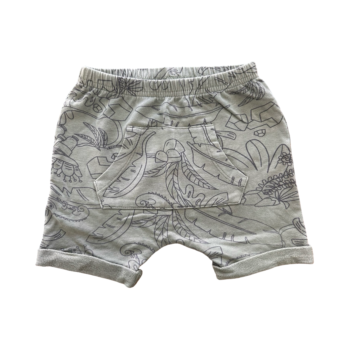 3-6M Green Garden & Chameleon Design Shorts - Woolworths
