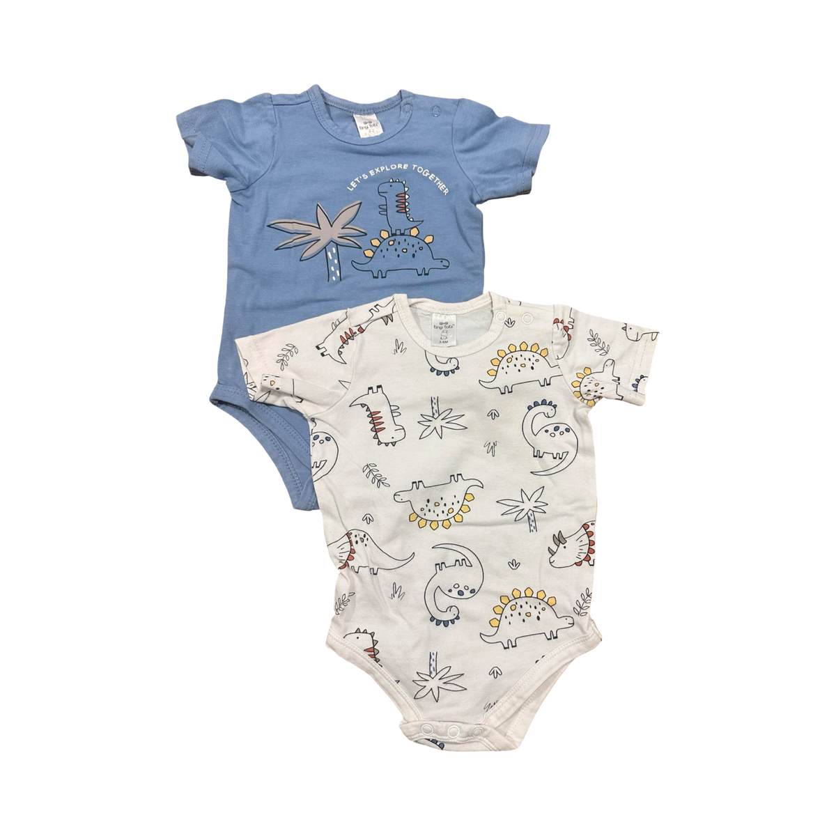 3-6M 2pc Dinosaur Bodysuit Set - Tint Tots