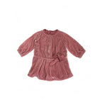 6-12M Pink Velvet Lined Drop Waist Dress - Gap
