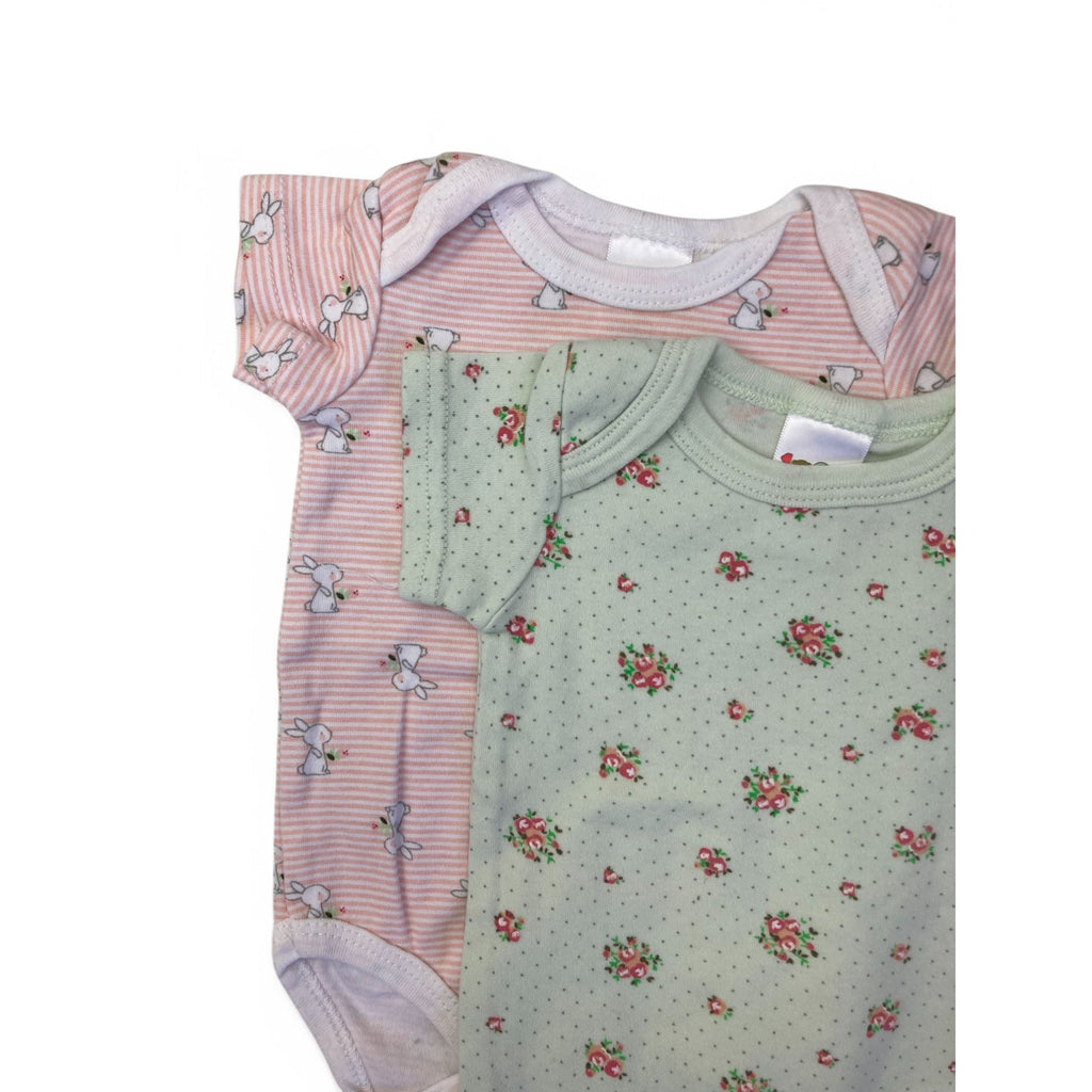 0-3M Mint Green & Pink Summery Bodysuits - Edgars