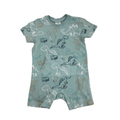 3-6M Mint Green Dino Romper - Clicks