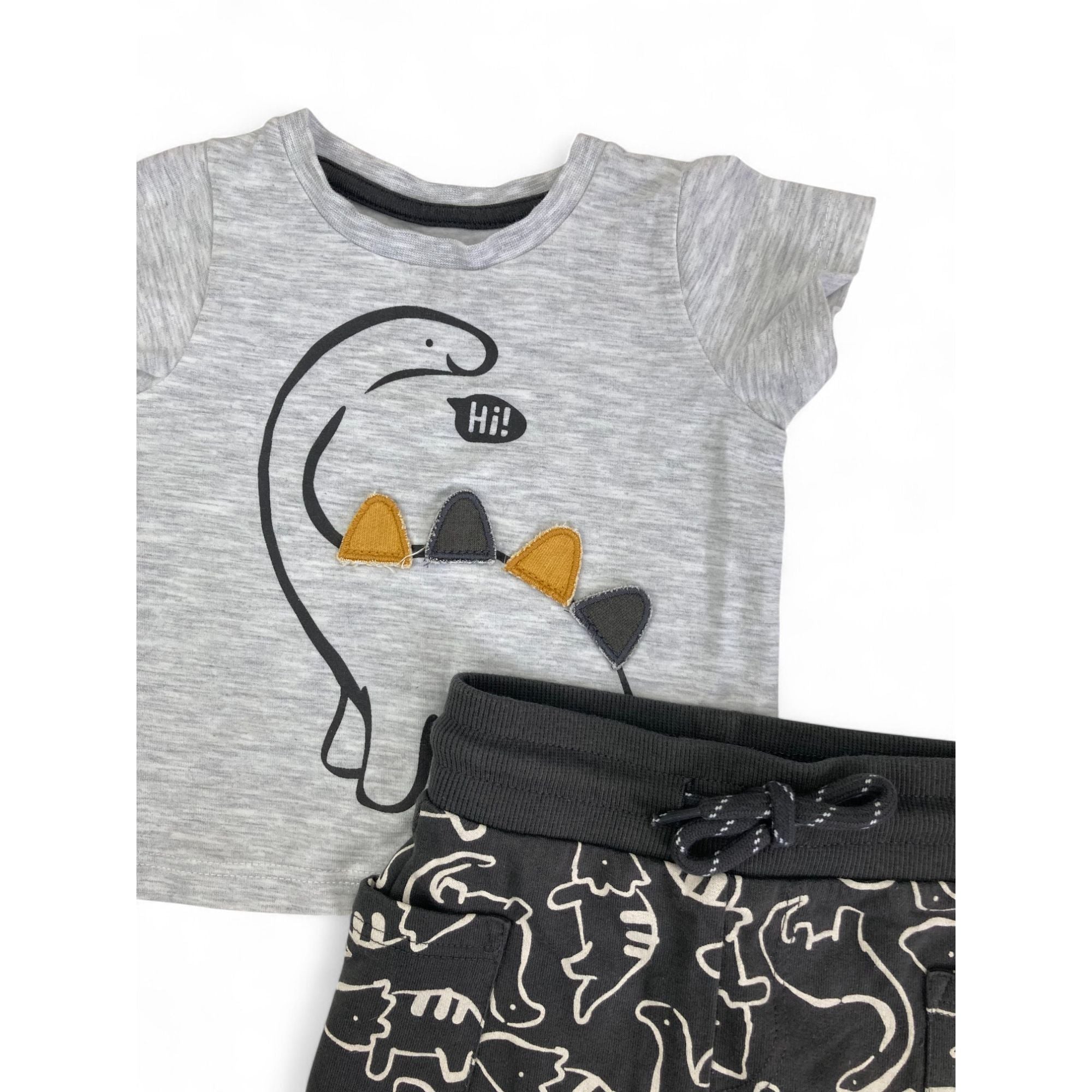 1-3M Grey T Shirt & Dino Shorts - Woolworths