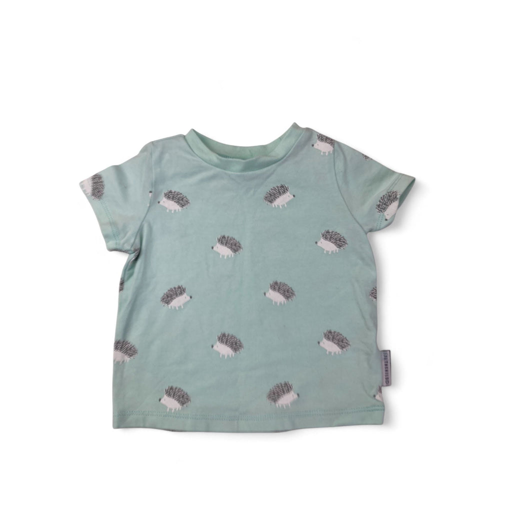 3-6M Mint Green Hedgehog T Shirt - Earthchild