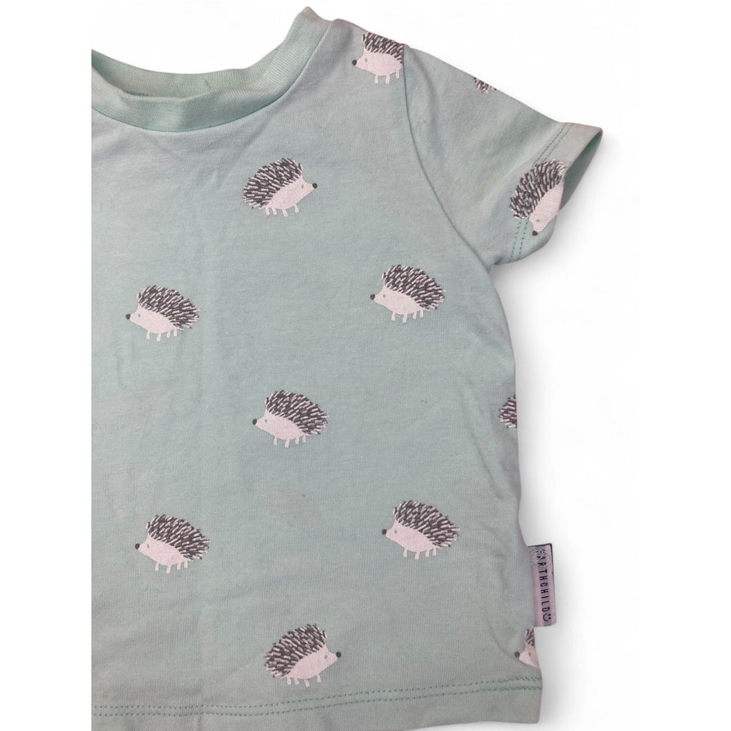 3-6M Mint Green Hedgehog T Shirt - Earthchild