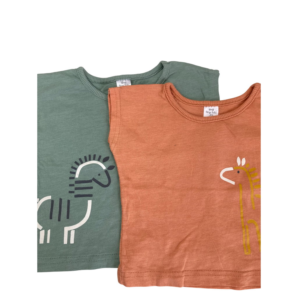 3-6M Orange & Green Batwing T Shirts - Tiny Tots