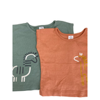 3-6M Orange & Green Batwing T Shirts - Tiny Tots