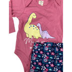 3-6M PInk Dinosaur Bodysuit & Blue Floral Leggings - Tiny Tots, Ackermans