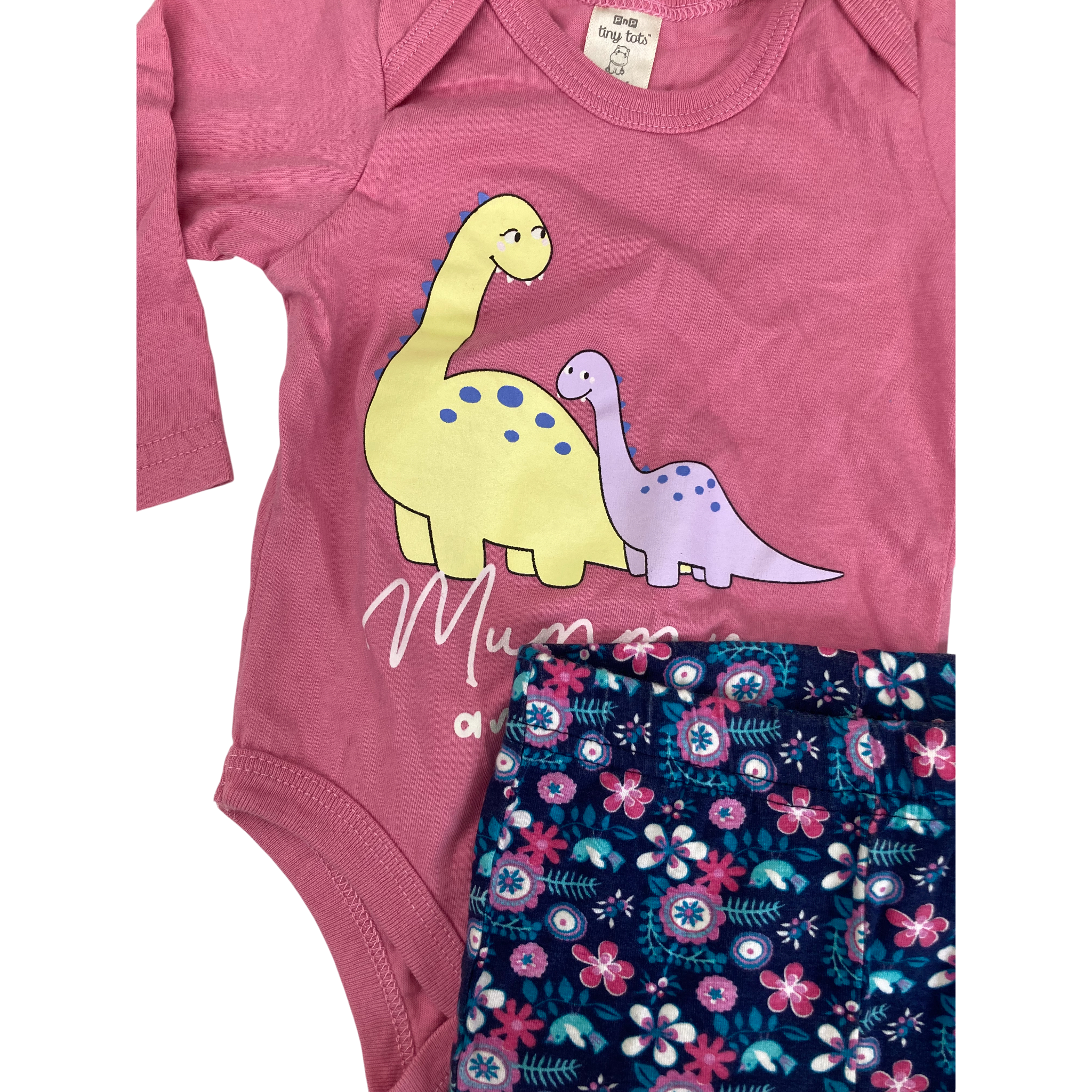 3-6M PInk Dinosaur Bodysuit & Blue Floral Leggings - Tiny Tots, Ackermans
