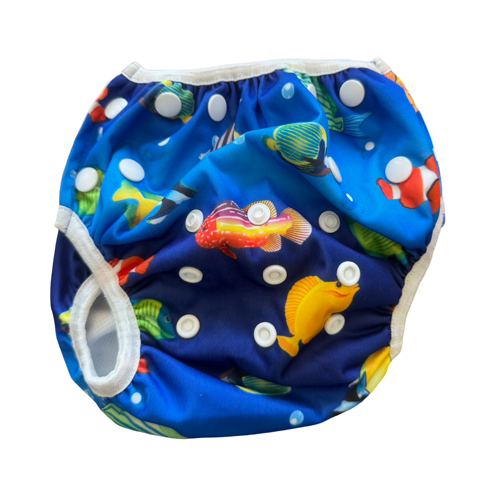 *NEW* Fish design swim nappy - Biddykins