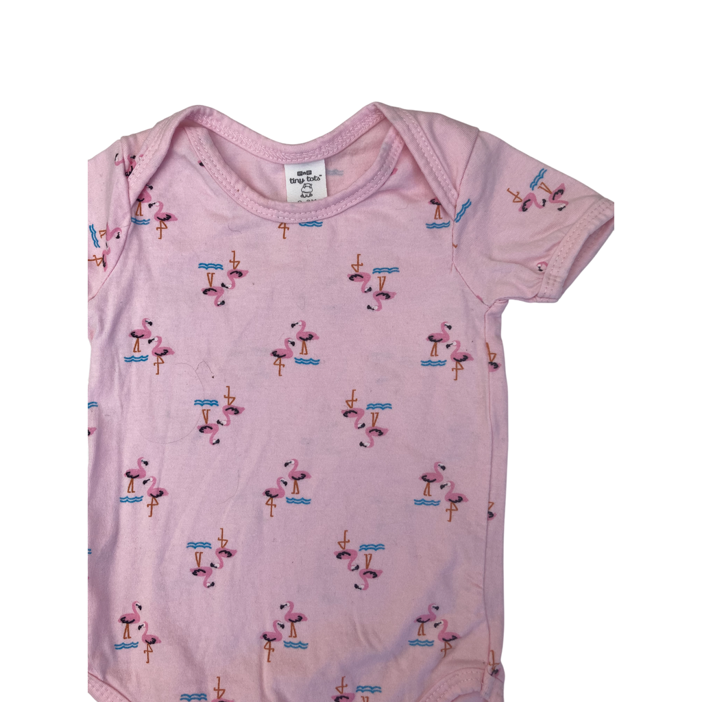 0-3M Pink Flamingo Bodysuit - Tiny Tots